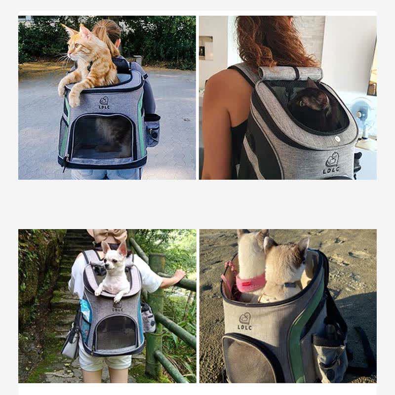 Pet Carrier Backpack with Pockets Plush Mat Leash for Puppies Cats